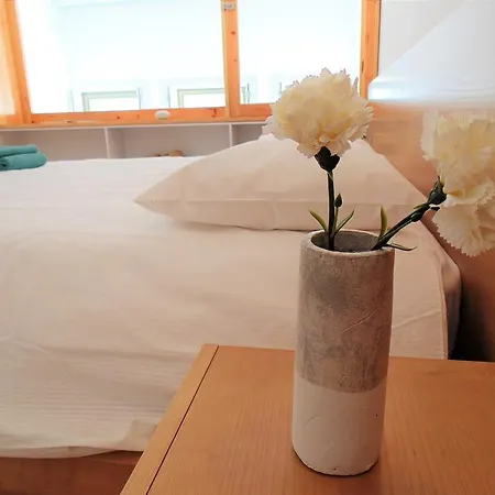 Veiga Garden House * Porto